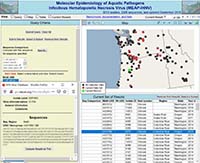 IHNV Fish Virus Database